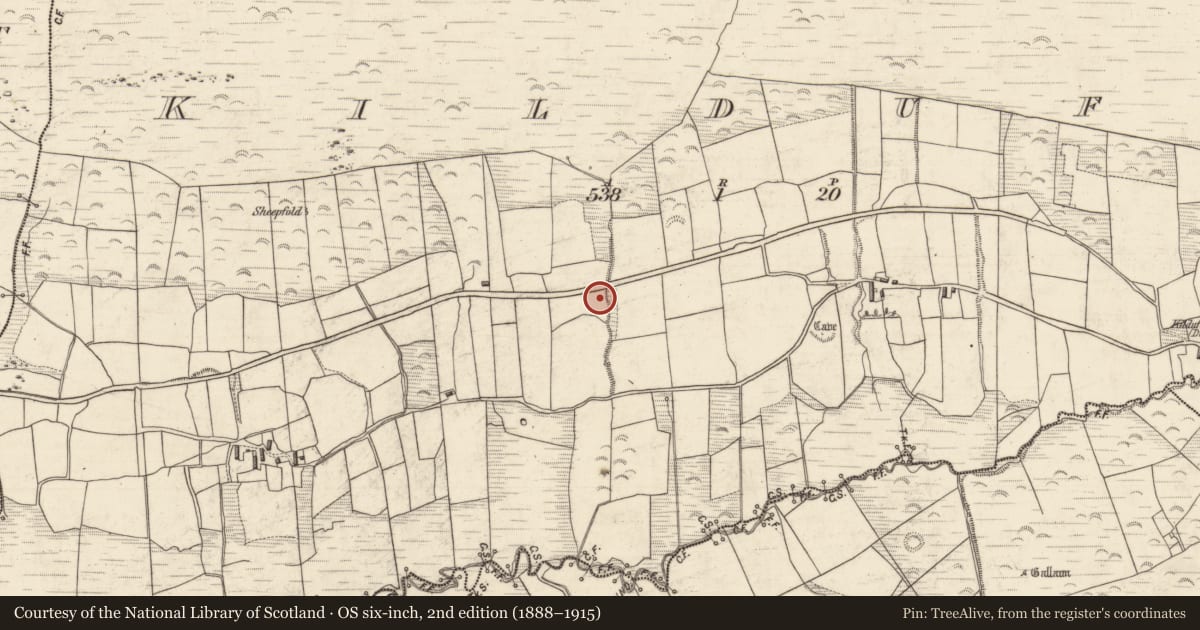 Ordnance Survey six-inch map, 2nd edition (1888–1915) covering the location of Souterrain, Kilduff, County Kerry, with a pin at the register's coordinates