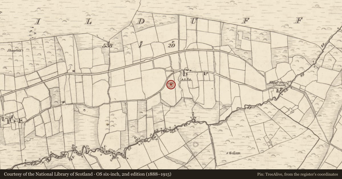 Ordnance Survey six-inch map, 2nd edition (1888–1915) covering the location of Souterrain, Kilduff, County Kerry, with a pin at the register's coordinates
