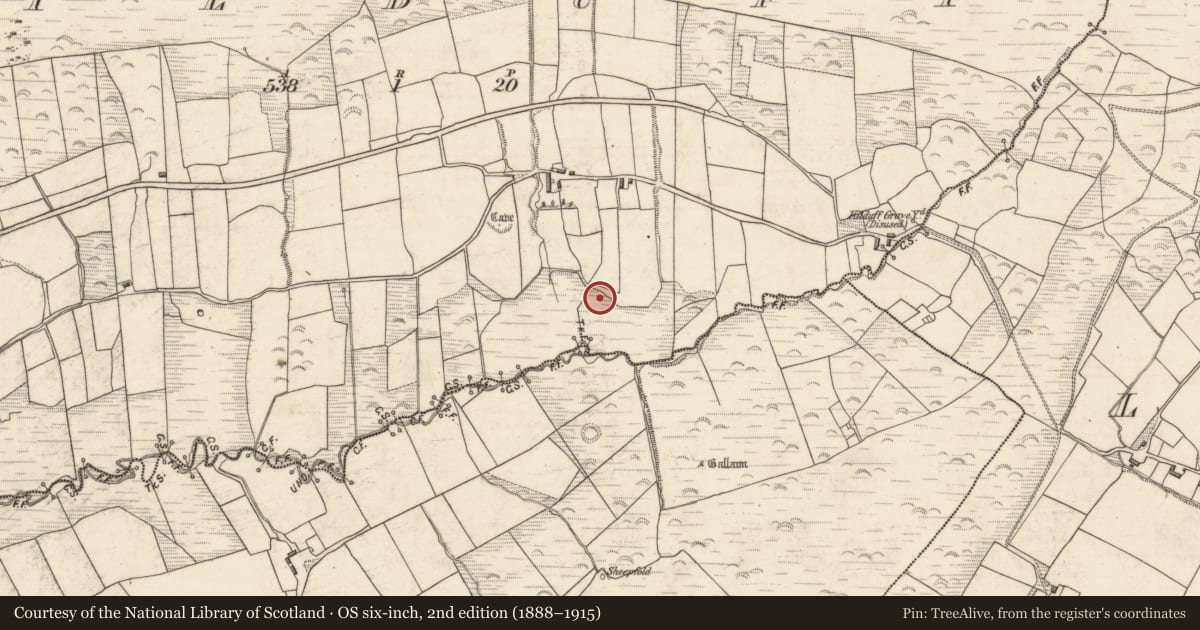 Ordnance Survey six-inch map, 2nd edition (1888–1915) covering the location of Ogham stone, Kilduff, County Kerry, with a pin at the register's coordinates