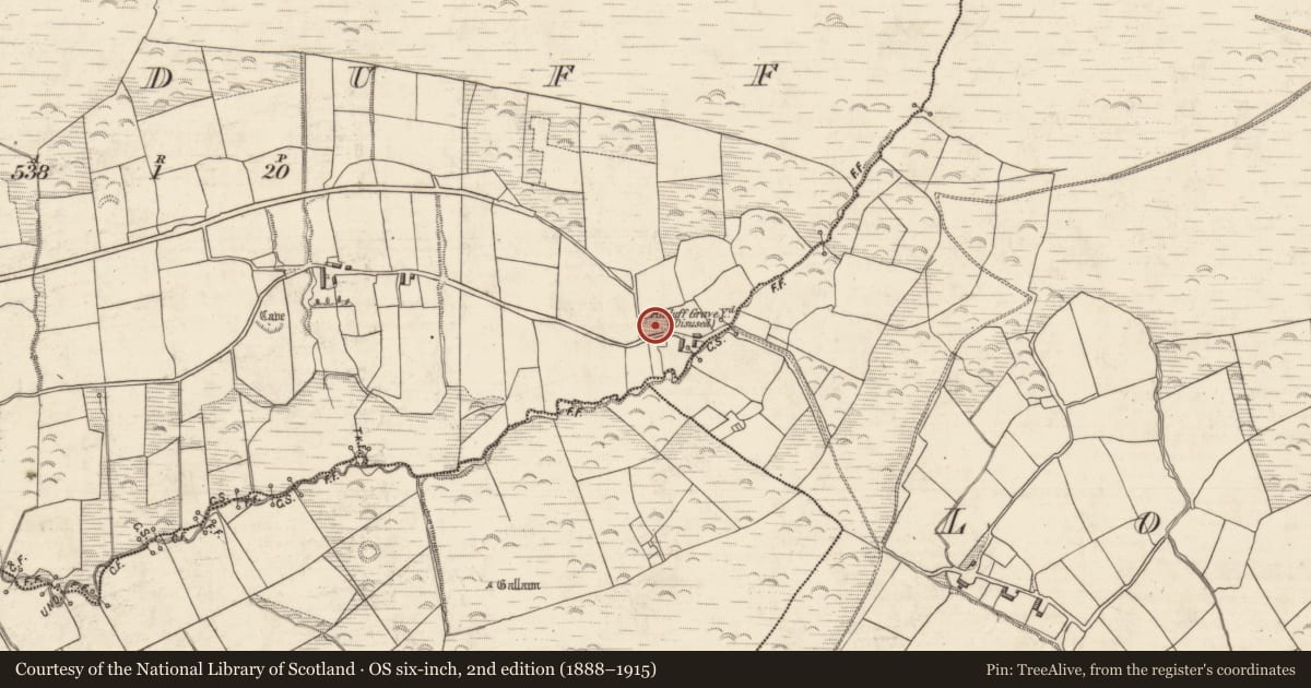 Ordnance Survey six-inch map, 2nd edition (1888–1915) covering the location of Children's burial ground, Kilduff, County Kerry, with a pin at the register's coordinates
