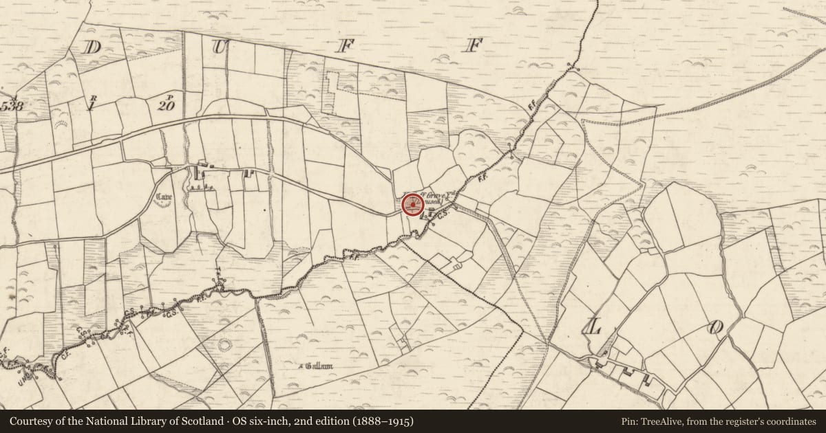 Ordnance Survey six-inch map, 2nd edition (1888–1915) covering the location of Cross-slab, Kilduff, County Kerry, with a pin at the register's coordinates