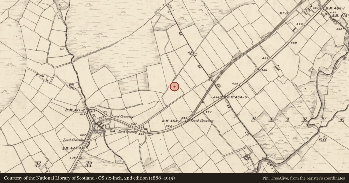 Ordnance Survey six-inch map, 2nd edition (1888–1915) covering the location of Standing stone, Glanmore, County Kerry, with a pin at the register's coordinates