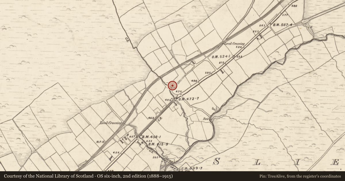 Ordnance Survey six-inch map, 2nd edition (1888–1915) covering the location of Souterrain, Slieve East, County Kerry, with a pin at the register's coordinates