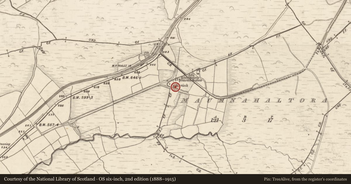 Ordnance Survey six-inch map, 2nd edition (1888–1915) covering the location of Megalithic tomb - wedge tomb, Maumnahaltora, County Kerry, with a pin at the register's coordinates