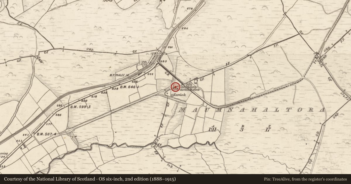 Ordnance Survey six-inch map, 2nd edition (1888–1915) covering the location of Megalithic tomb - wedge tomb, Maumnahaltora, County Kerry, with a pin at the register's coordinates