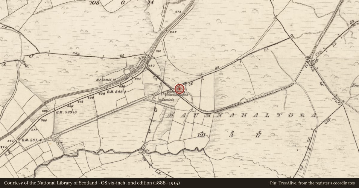 Ordnance Survey six-inch map, 2nd edition (1888–1915) covering the location of Megalithic tomb - wedge tomb, Maumnahaltora, County Kerry, with a pin at the register's coordinates