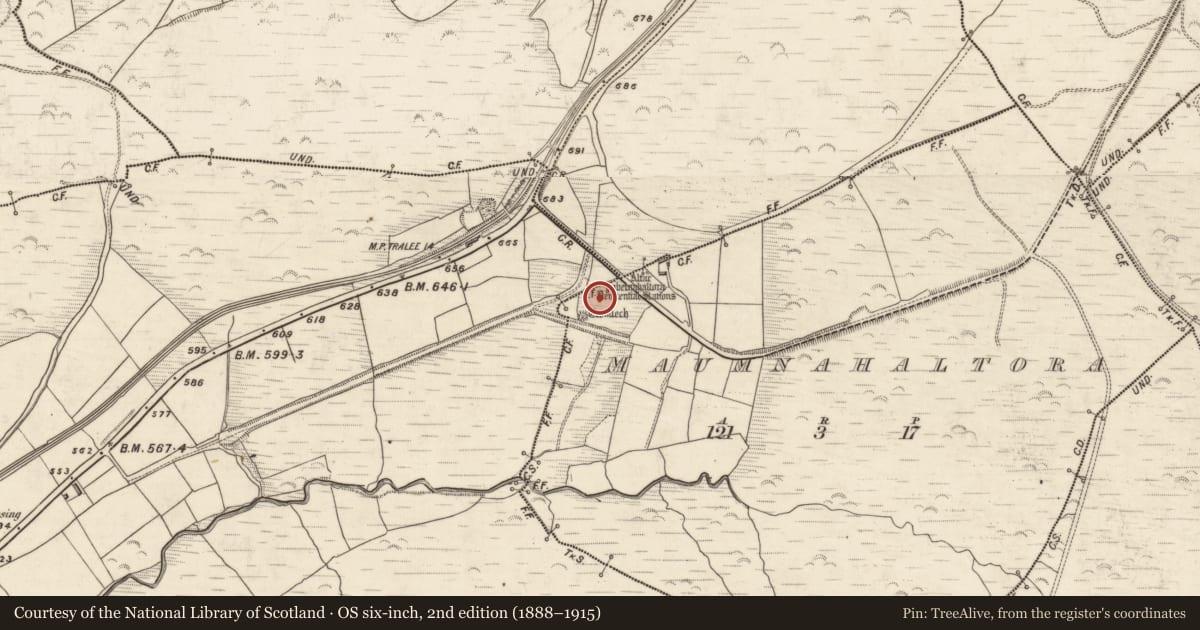 Ordnance Survey six-inch map, 2nd edition (1888–1915) covering the location of Standing stone - pair, Maumnahaltora, County Kerry, with a pin at the register's coordinates