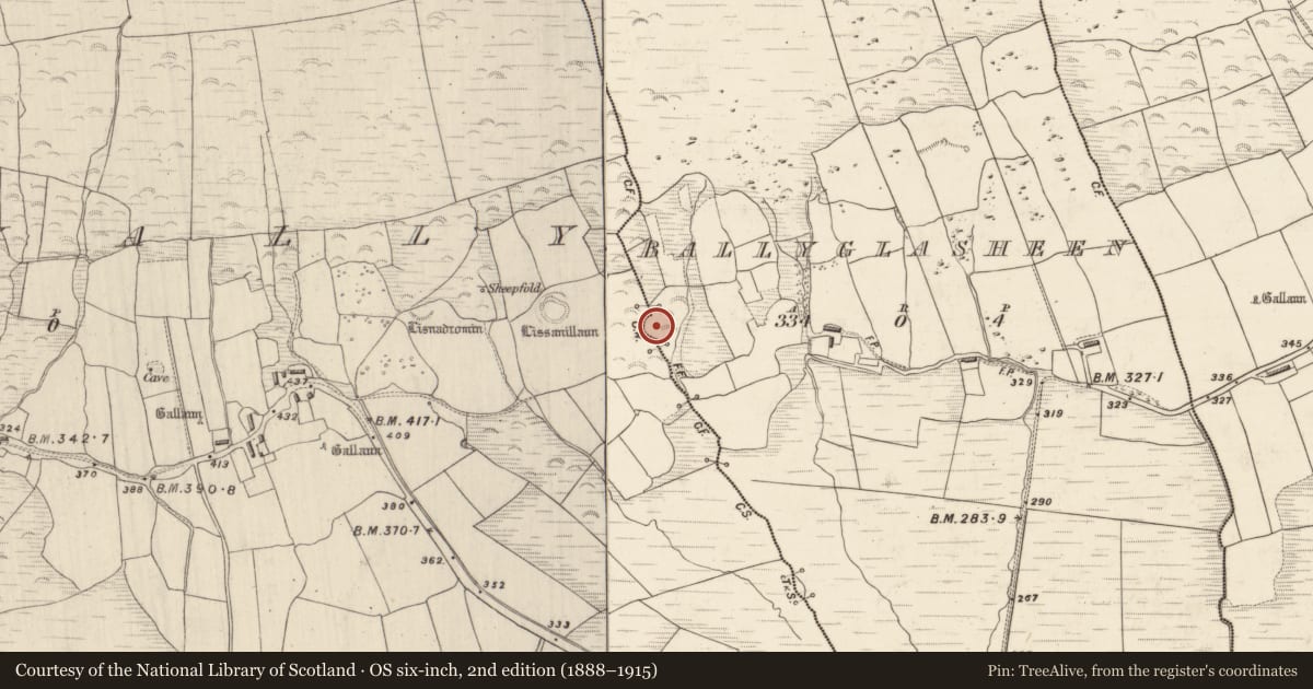 Ordnance Survey six-inch map, 2nd edition (1888–1915) covering the location of Ringfort - cashel, Baile An Ghlaisín , Dromavally, County Kerry, with a pin at the register's coordinates