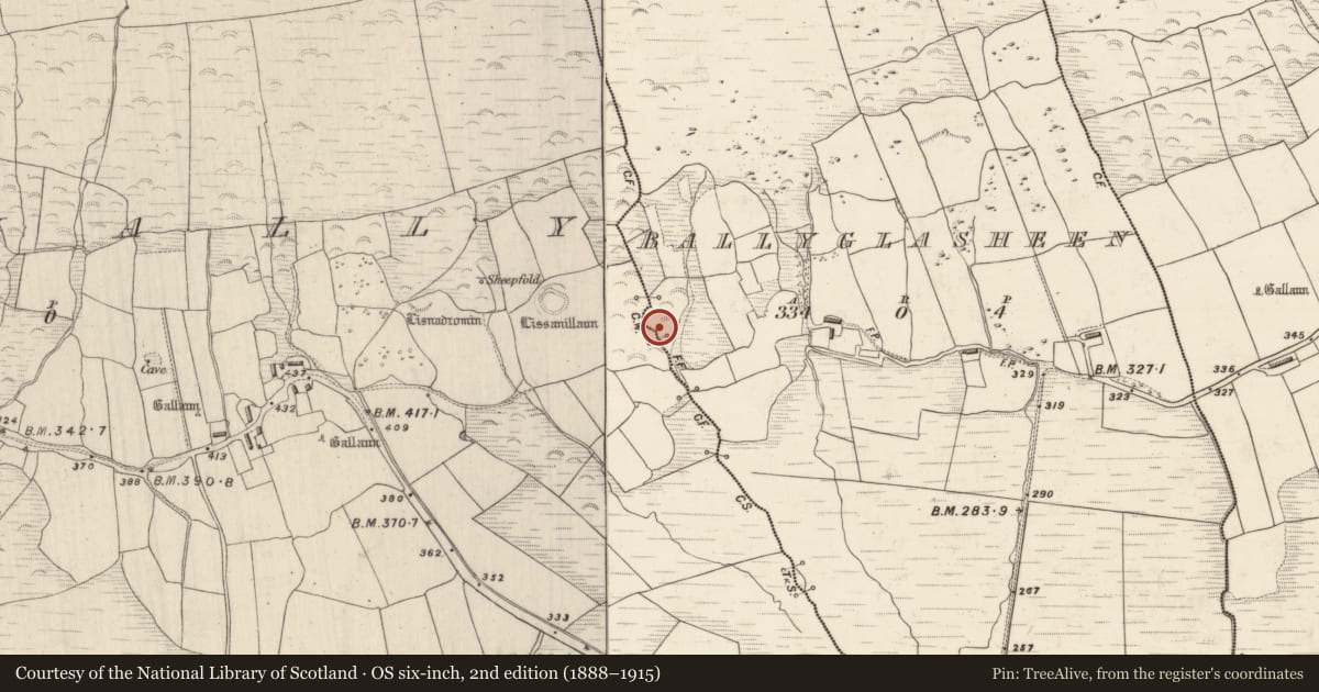 Ordnance Survey six-inch map, 2nd edition (1888–1915) covering the location of House - indeterminate date, Baile An Ghlaisín , Dromavally, County Kerry, with a pin at the register's coordinates