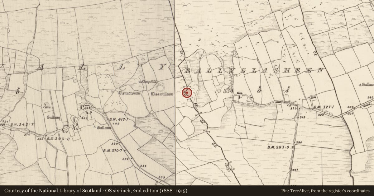 Ordnance Survey six-inch map, 2nd edition (1888–1915) covering the location of House - indeterminate date, Dromavally, Baile An Ghlaisín, County Kerry, with a pin at the register's coordinates