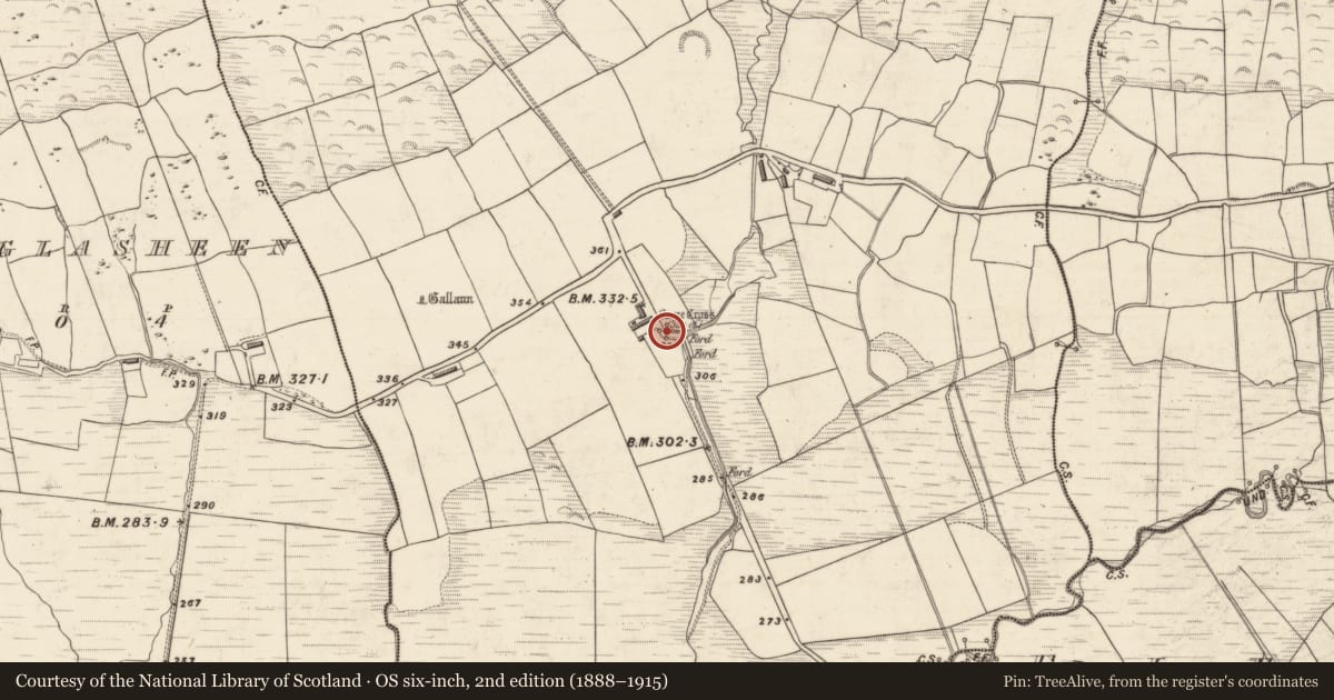 Ordnance Survey six-inch map, 2nd edition (1888–1915) covering the location of Ogham stone (present location), Ballynahunt, County Kerry, with a pin at the register's coordinates