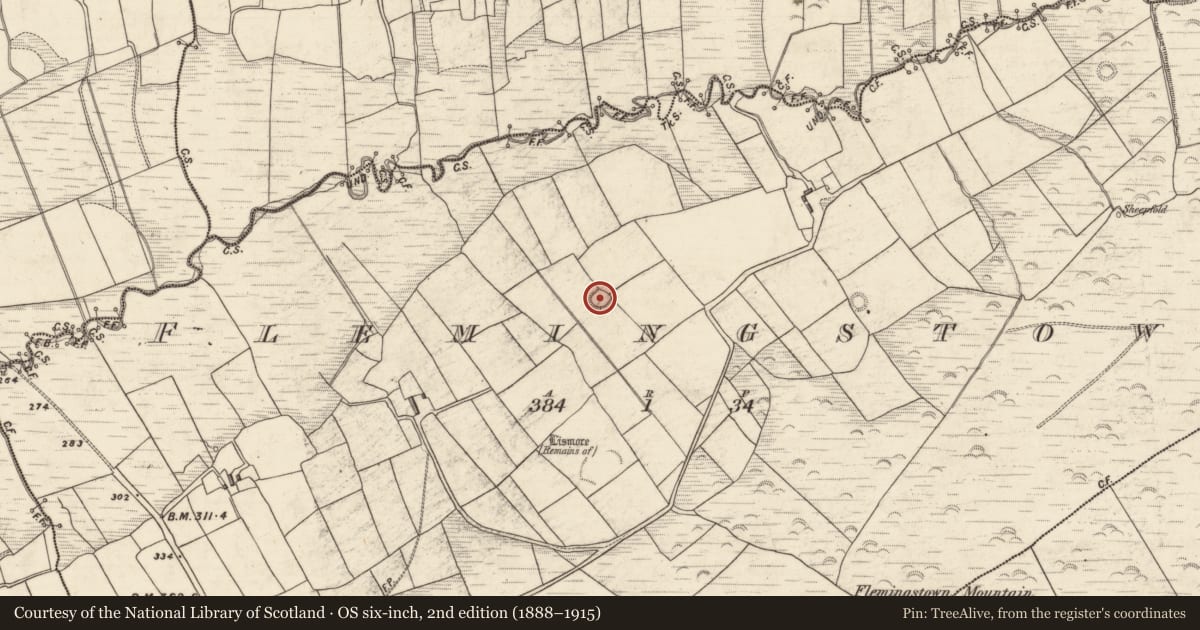 Ordnance Survey six-inch map, 2nd edition (1888–1915) covering the location of Ringfort - rath, Flemingstown, County Kerry, with a pin at the register's coordinates