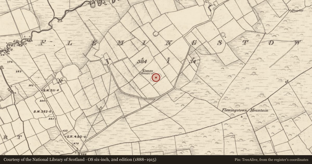 Ordnance Survey six-inch map, 2nd edition (1888–1915) covering the location of Ringfort - rath, Flemingstown, County Kerry, with a pin at the register's coordinates