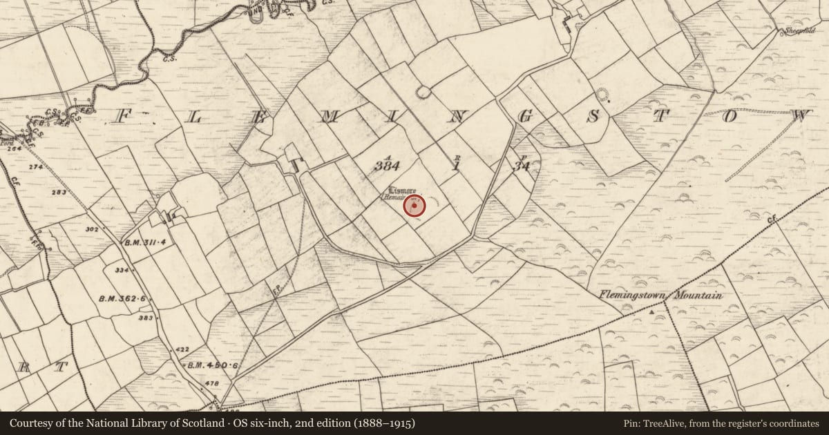 Ordnance Survey six-inch map, 2nd edition (1888–1915) covering the location of Hut site, Flemingstown, County Kerry, with a pin at the register's coordinates