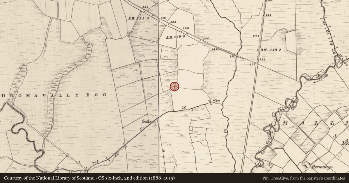 Ordnance Survey six-inch map, 2nd edition (1888–1915) covering the location of Hut site, Dromavally, County Kerry, with a pin at the register's coordinates