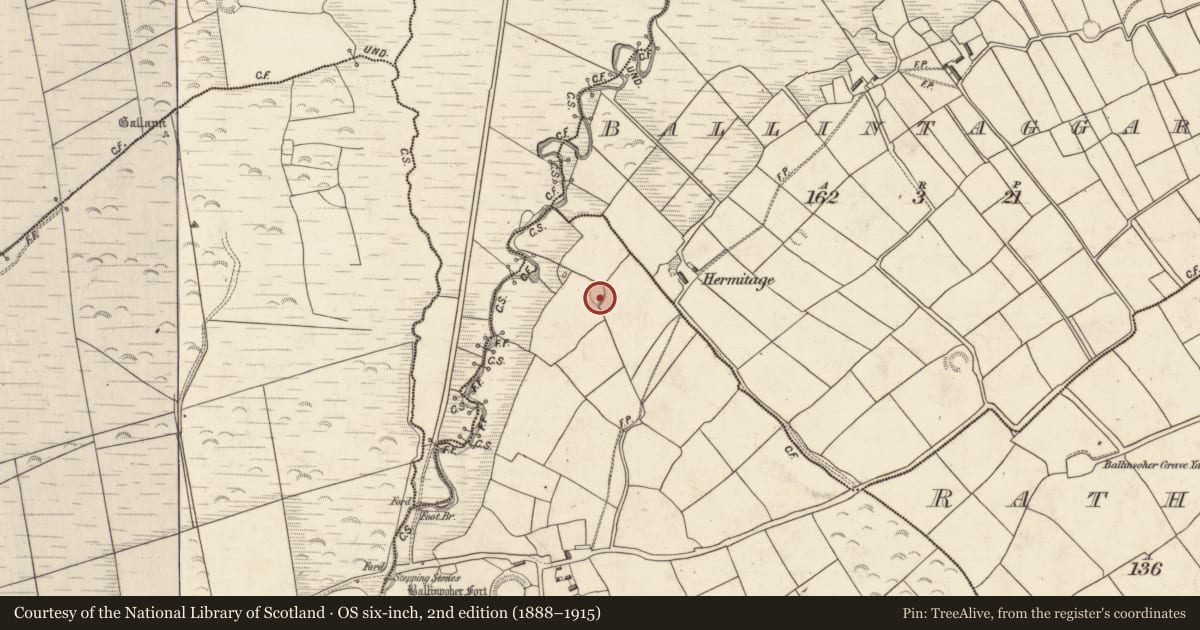 Ordnance Survey six-inch map, 2nd edition (1888–1915) covering the location of Enclosure, Ballyandreen, County Kerry, with a pin at the register's coordinates