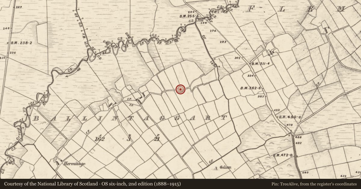 Ordnance Survey six-inch map, 2nd edition (1888–1915) covering the location of Ringfort - rath, Baile An Tsagairt (TC Baile an Bhóthair), County Kerry, with a pin at the register's coordinates