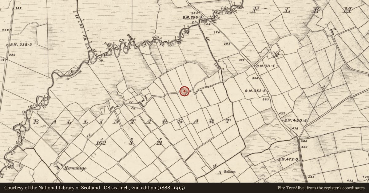 Ordnance Survey six-inch map, 2nd edition (1888–1915) covering the location of Souterrain, Baile An Tsagairt (TC Baile an Bhóthair), County Kerry, with a pin at the register's coordinates