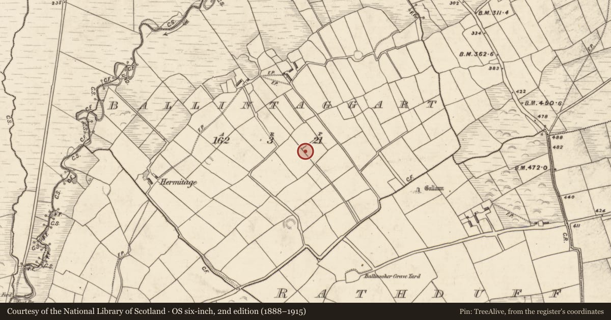 Ordnance Survey six-inch map, 2nd edition (1888–1915) covering the location of Burial, Baile An Tsagairt (TC Baile an Bhóthair), County Kerry, with a pin at the register's coordinates