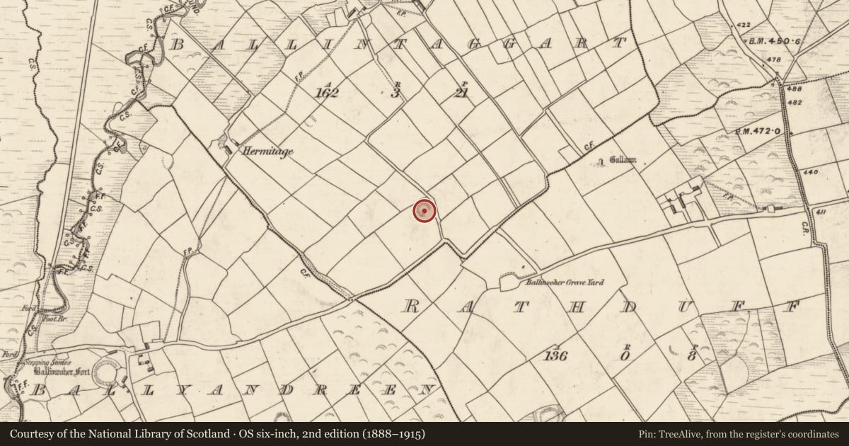 Ordnance Survey six-inch map, 2nd edition (1888–1915) covering the location of Souterrain, Baile An Tsagairt (TC Baile an Bhóthair), County Kerry, with a pin at the register's coordinates