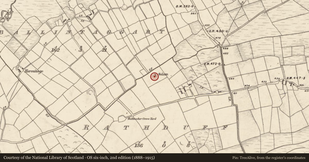 Ordnance Survey six-inch map, 2nd edition (1888–1915) covering the location of Standing stone, Rathduff, County Kerry, with a pin at the register's coordinates