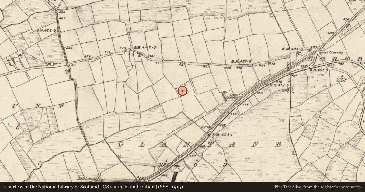 Ordnance Survey six-inch map, 2nd edition (1888–1915) covering the location of Enclosure, Glantane, County Kerry, with a pin at the register's coordinates