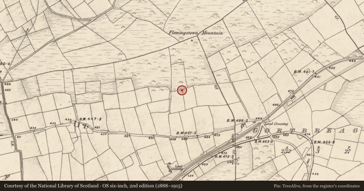 Ordnance Survey six-inch map, 2nd edition (1888–1915) covering the location of Ringfort - rath, Glantane, County Kerry, with a pin at the register's coordinates