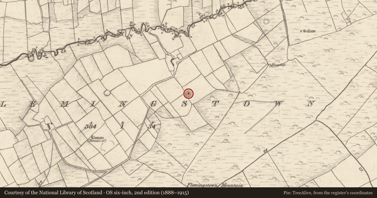 Ordnance Survey six-inch map, 2nd edition (1888–1915) covering the location of Ringfort - rath, Flemingstown, County Kerry, with a pin at the register's coordinates