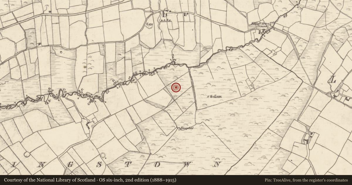 Ordnance Survey six-inch map, 2nd edition (1888–1915) covering the location of Ringfort - rath, Flemingstown, County Kerry, with a pin at the register's coordinates