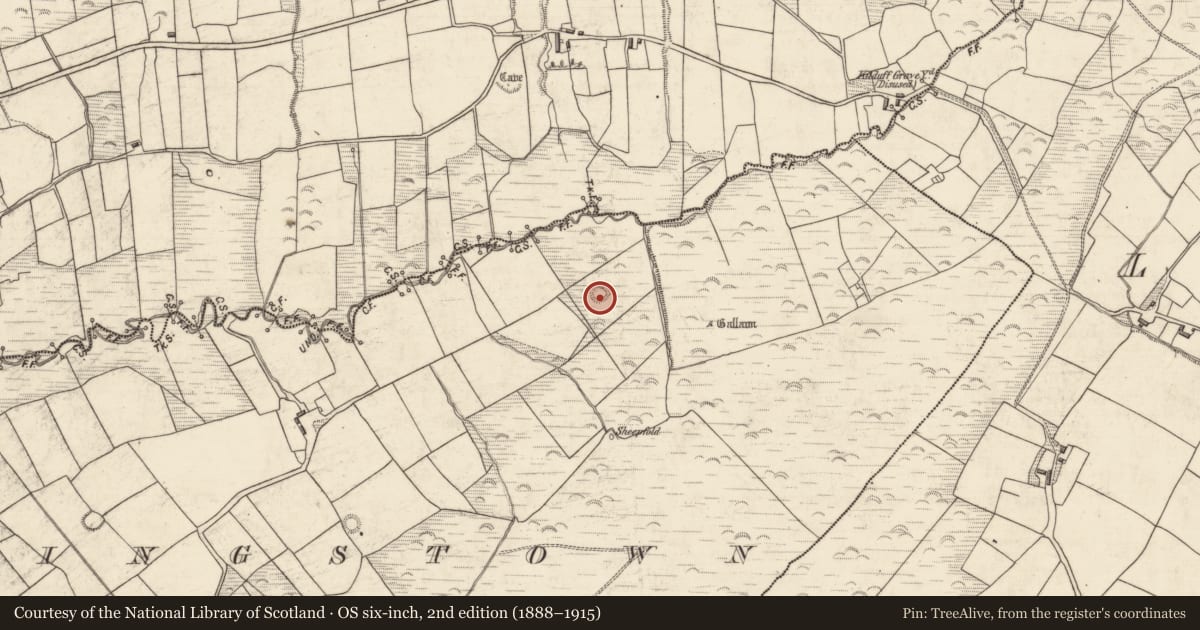 Ordnance Survey six-inch map, 2nd edition (1888–1915) covering the location of Hut site, Flemingstown, County Kerry, with a pin at the register's coordinates