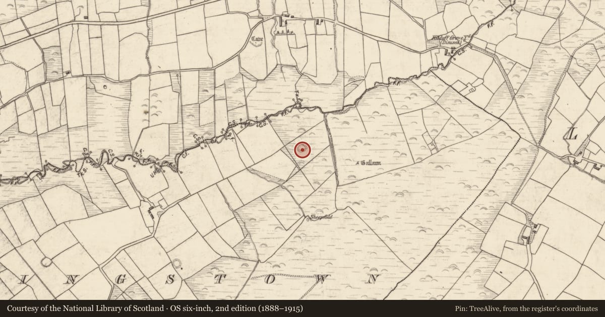 Ordnance Survey six-inch map, 2nd edition (1888–1915) covering the location of Hut site, Flemingstown, County Kerry, with a pin at the register's coordinates