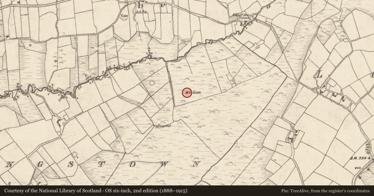 Ordnance Survey six-inch map, 2nd edition (1888–1915) covering the location of Standing stone, Flemingstown, County Kerry, with a pin at the register's coordinates