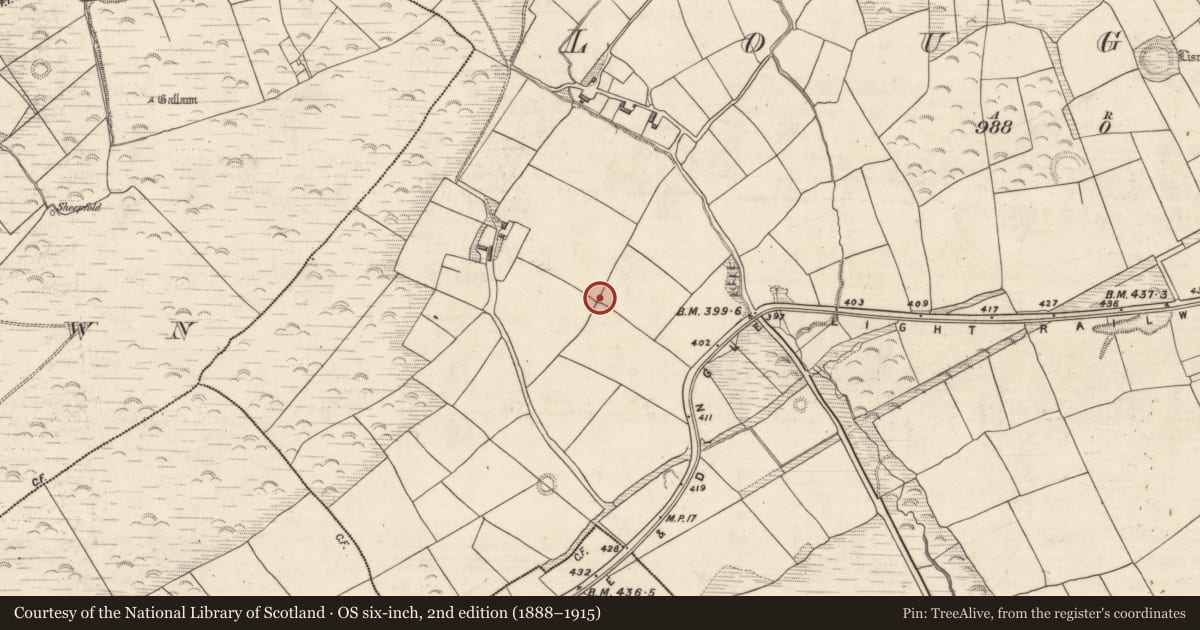 Ordnance Survey six-inch map, 2nd edition (1888–1915) covering the location of Rock art, An Luachair, County Kerry, with a pin at the register's coordinates
