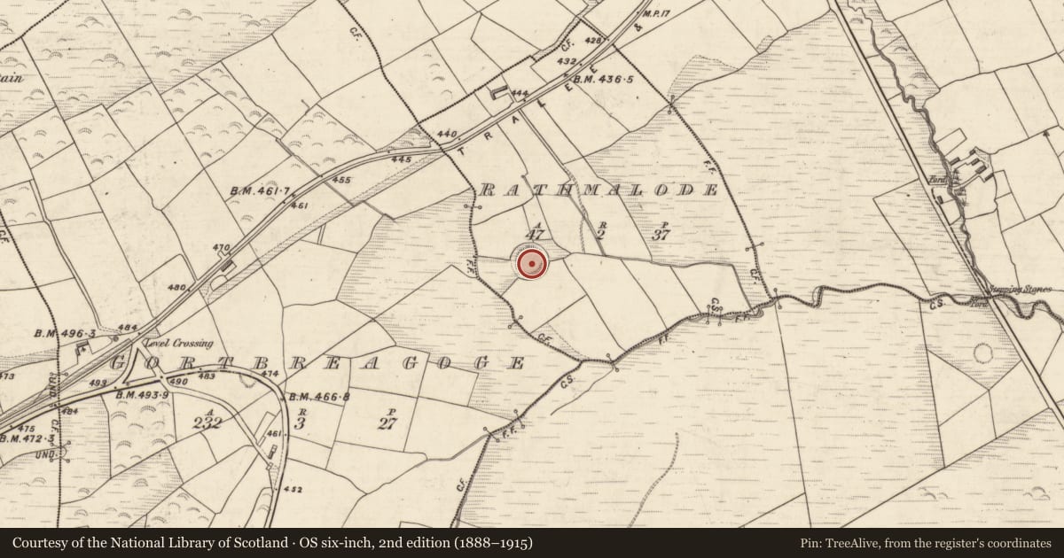 Ordnance Survey six-inch map, 2nd edition (1888–1915) covering the location of Hut site, Rathmalode, County Kerry, with a pin at the register's coordinates