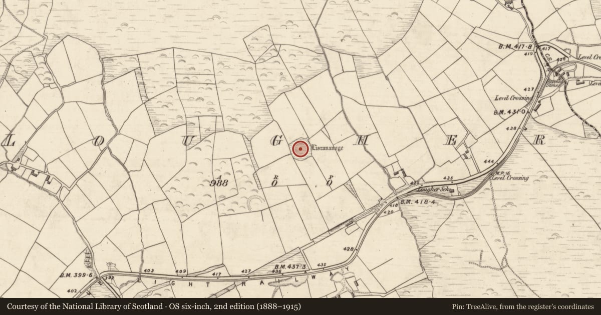 Ordnance Survey six-inch map, 2nd edition (1888–1915) covering the location of Ringfort - rath, An Luachair, County Kerry, with a pin at the register's coordinates