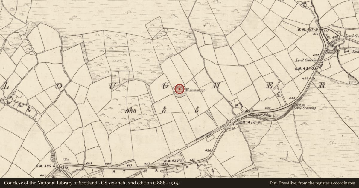 Ordnance Survey six-inch map, 2nd edition (1888–1915) covering the location of Hut site, An Luachair, County Kerry, with a pin at the register's coordinates