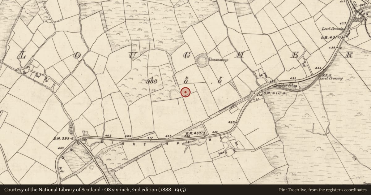 Ordnance Survey six-inch map, 2nd edition (1888–1915) covering the location of Barrow - ring-barrow, An Luachair, County Kerry, with a pin at the register's coordinates