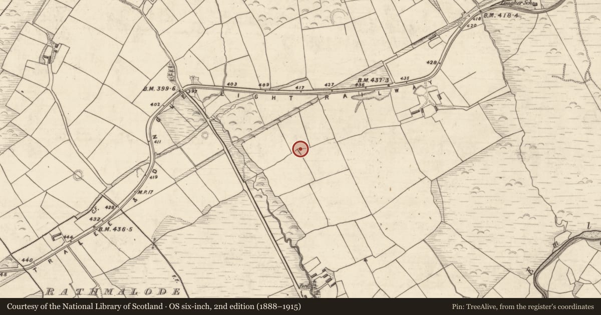 Ordnance Survey six-inch map, 2nd edition (1888–1915) covering the location of Barrow - ring-barrow, An Luachair, County Kerry, with a pin at the register's coordinates