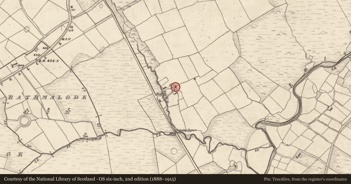 Ordnance Survey six-inch map, 2nd edition (1888–1915) covering the location of Cupmarked stone, An Luachair, County Kerry, with a pin at the register's coordinates