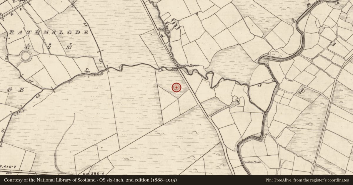 Ordnance Survey six-inch map, 2nd edition (1888–1915) covering the location of Ringfort - rath, Glannaheera, County Kerry, with a pin at the register's coordinates