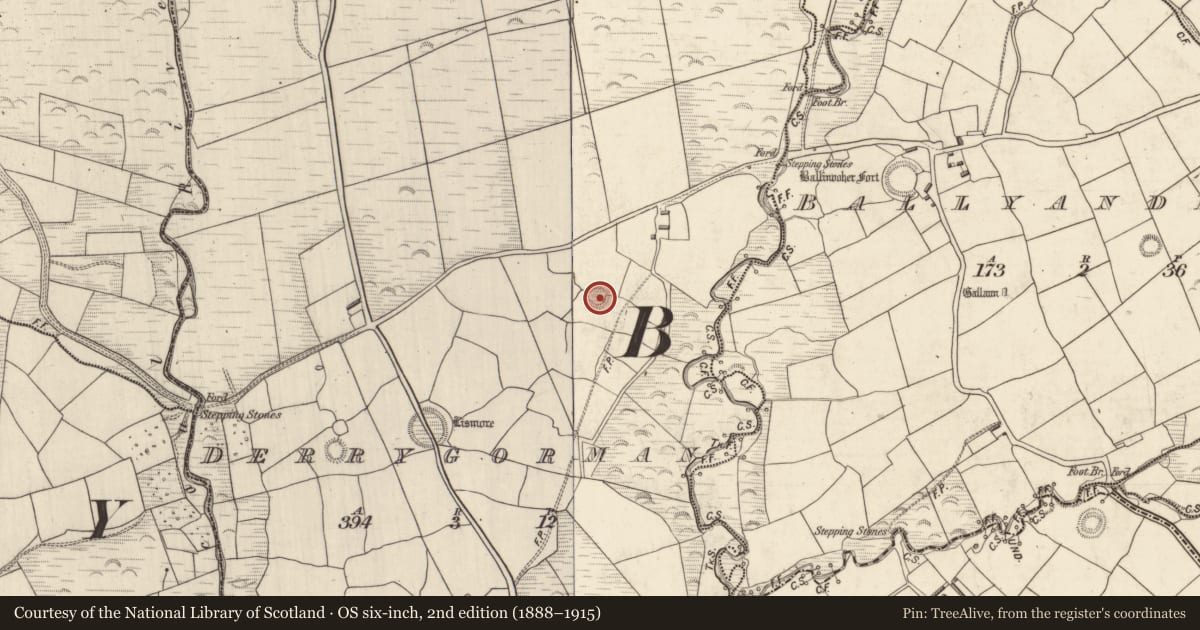 Ordnance Survey six-inch map, 2nd edition (1888–1915) covering the location of Hut site, Derrygorman, County Kerry, with a pin at the register's coordinates