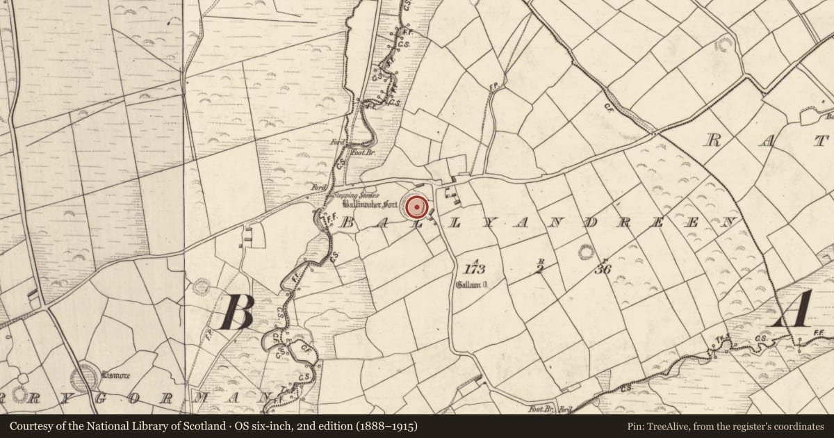 Ordnance Survey six-inch map, 2nd edition (1888–1915) covering the location of Ringfort - rath, Ballyandreen, County Kerry, with a pin at the register's coordinates