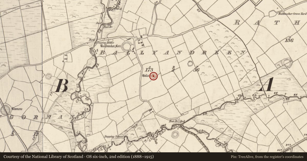 Ordnance Survey six-inch map, 2nd edition (1888–1915) covering the location of Ogham stone, Ballyandreen, County Kerry, with a pin at the register's coordinates
