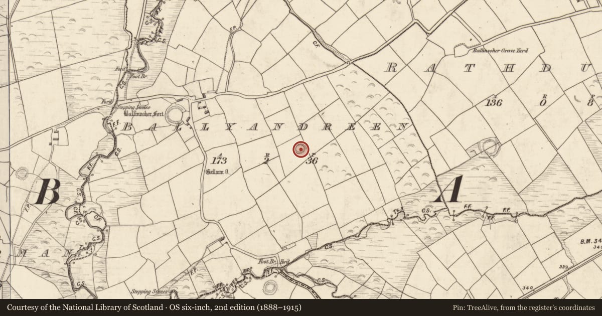 Ordnance Survey six-inch map, 2nd edition (1888–1915) covering the location of Ringfort - rath, Ballyandreen, County Kerry, with a pin at the register's coordinates