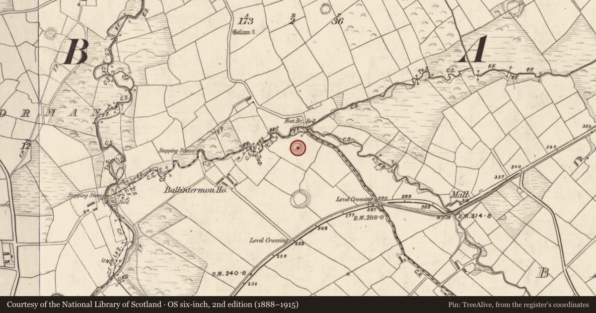 Ordnance Survey six-inch map, 2nd edition (1888–1915) covering the location of Ringfort - rath, Ballintermon, County Kerry, with a pin at the register's coordinates