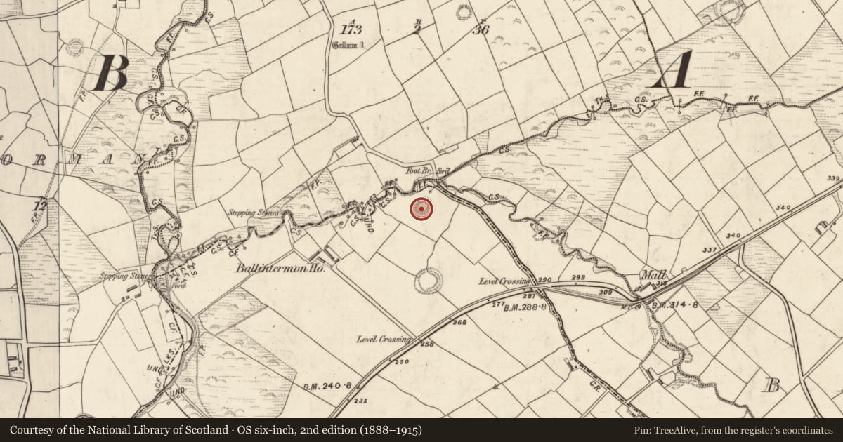Ordnance Survey six-inch map, 2nd edition (1888–1915) covering the location of Souterrain, Ballintermon, County Kerry, with a pin at the register's coordinates