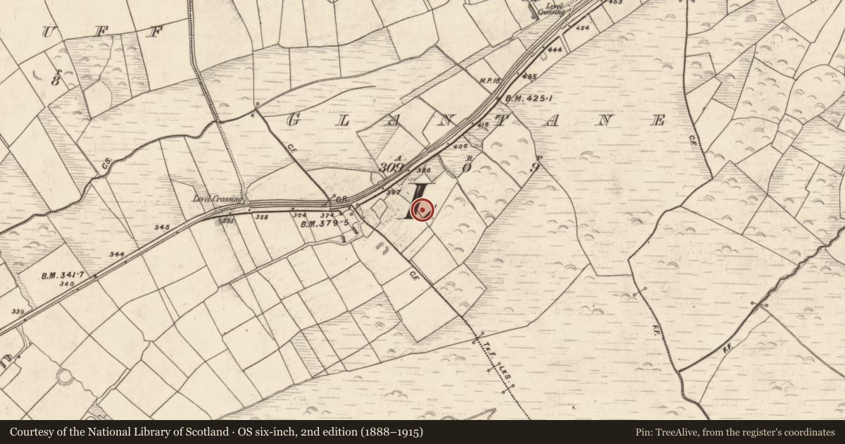 Ordnance Survey six-inch map, 2nd edition (1888–1915) covering the location of Ringfort - rath, Glantane, County Kerry, with a pin at the register's coordinates
