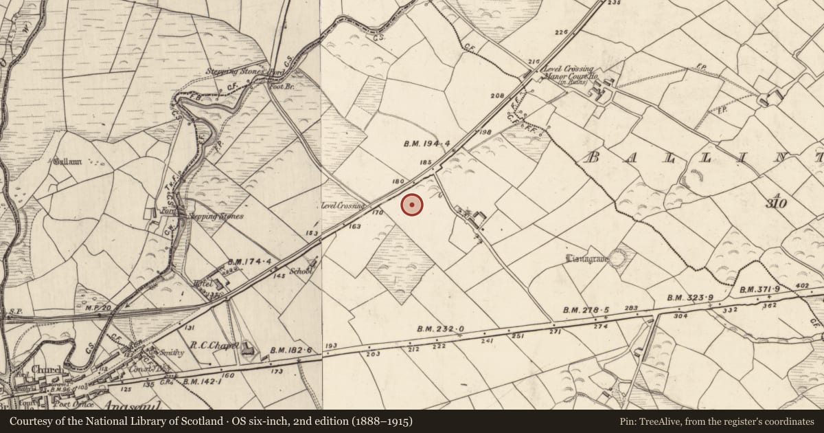 Ordnance Survey six-inch map, 2nd edition (1888–1915) covering the location of Cupmarked stone, Brackloon, County Kerry, with a pin at the register's coordinates