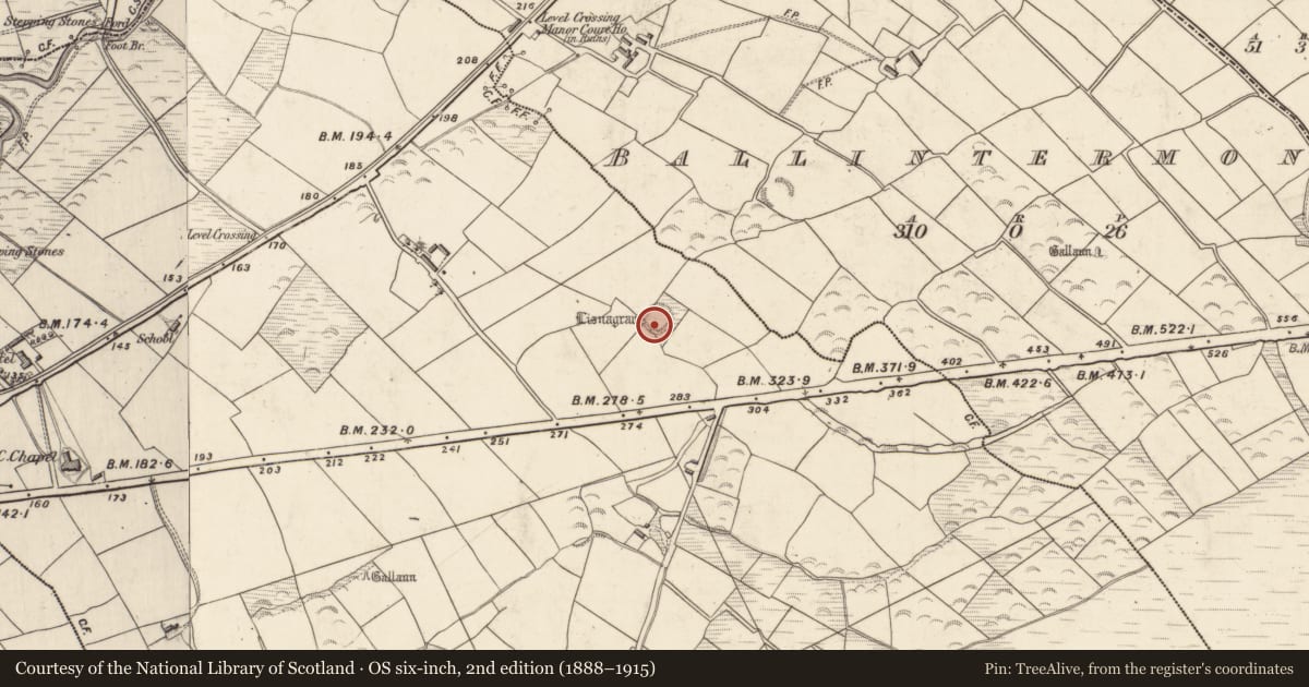 Ordnance Survey six-inch map, 2nd edition (1888–1915) covering the location of Souterrain, Brackloon, County Kerry, with a pin at the register's coordinates
