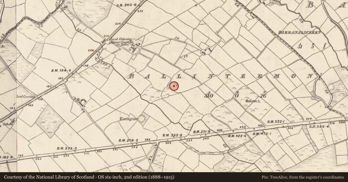 Ordnance Survey six-inch map, 2nd edition (1888–1915) covering the location of Ringfort - rath, Ballintermon, County Kerry, with a pin at the register's coordinates